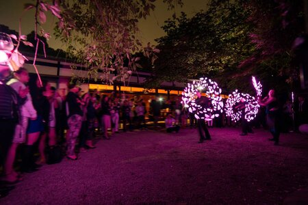 八芳園_庭園でのビジュアルポイパフォーマンス